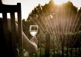 Summer Wine People Woman Glass  - Skitterphoto / Pixabay