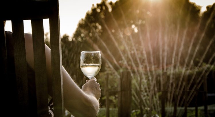 Summer Wine People Woman Glass  - Skitterphoto / Pixabay