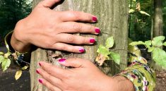 Tree Hands Hug Woman Nature  - Cairomoon / Pixabay