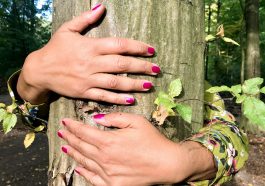 Tree Hands Hug Woman Nature  - Cairomoon / Pixabay