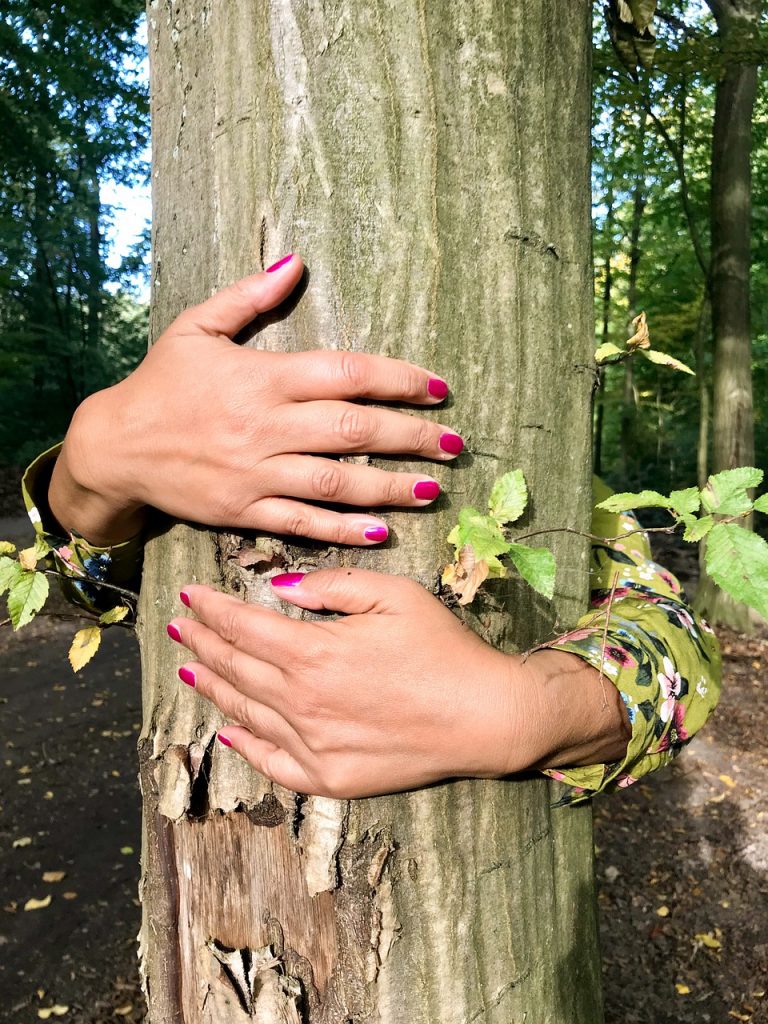 Tree Hands Hug Woman Nature - Cairomoon / Pixabay
