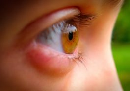 Eye Girl Face Woman Macro Female - TheLuka12345 / Pixabay