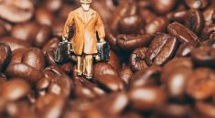 Man Miniature Figure Coffee Beans  - Photorama / Pixabay
