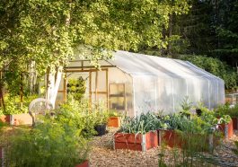 Tunnel Greenhouse Cultivation - DanielSjostrand / Pixabay