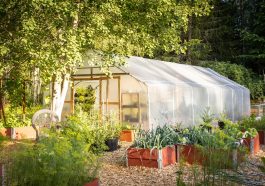 Tunnel Greenhouse Cultivation  - DanielSjostrand / Pixabay