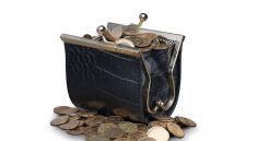 Coins Purse Wallet Money Currency  - ds_30 / Pixabay