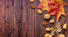 Leaves Nut Food Almond Walnut  - sergiovisor_ph / Pixabay