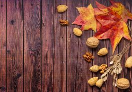 Leaves Nut Food Almond Walnut  - sergiovisor_ph / Pixabay