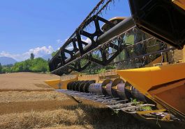 Combine Harvester Blades Harvest  - ykaiavu / Pixabay