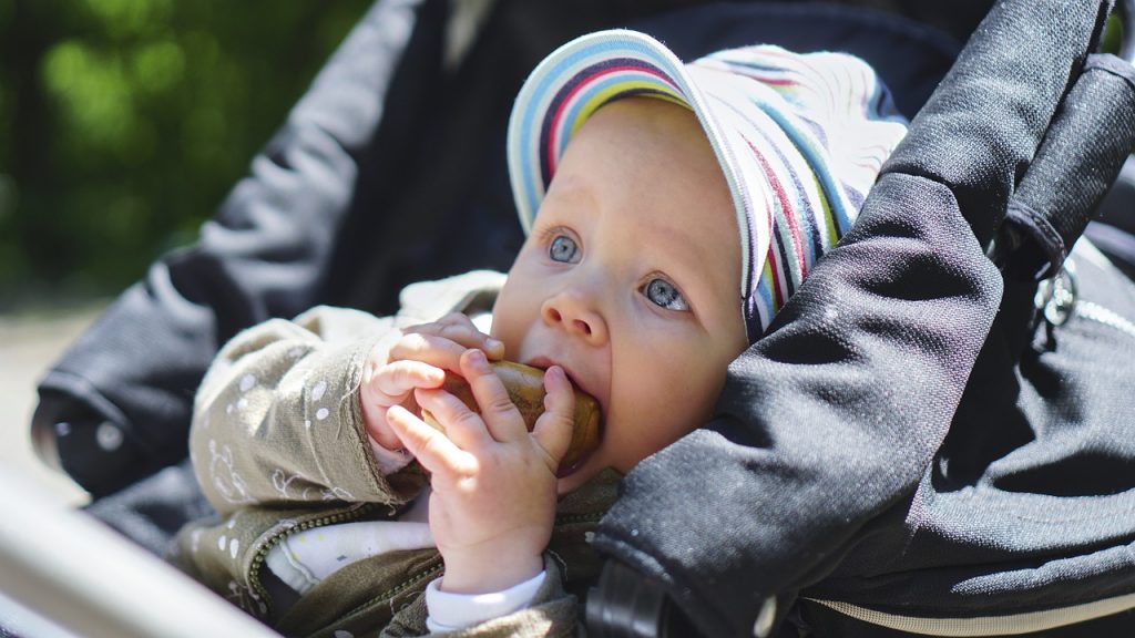 Infant Eyes Cute Stroller Portrait - TommyVollme / Pixabay