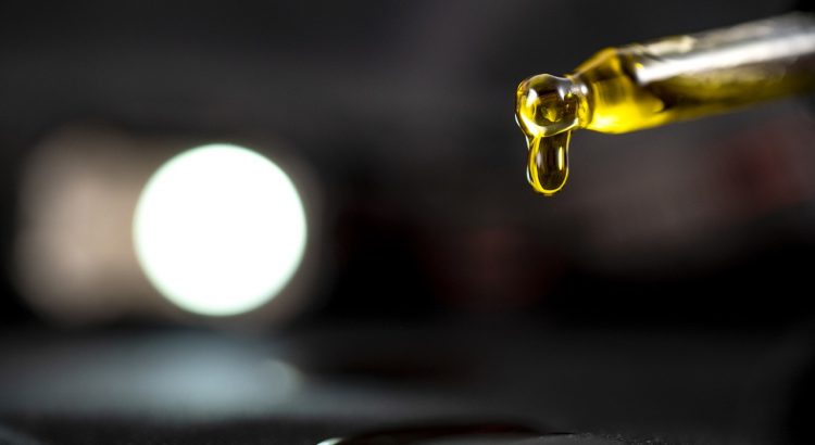 Cbd Oil Cannabis Oil Hash Oil  - everweedcbd / Pixabay