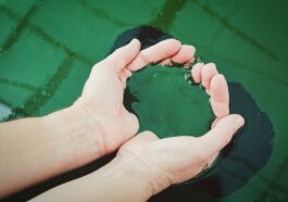 person holding green liquid closeup photoghraphy