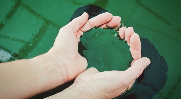 person holding green liquid closeup photoghraphy